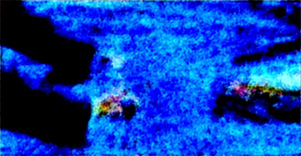 Bossanovabrasil : découvrez la culture, le voyage et la langue brésilienne